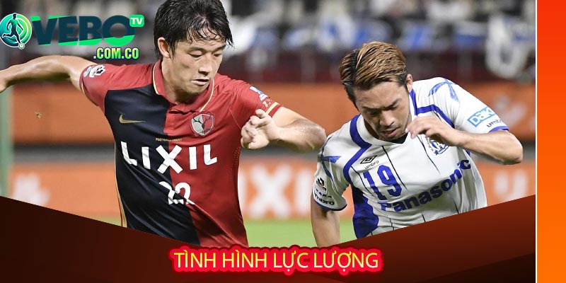 Tình hình lực lượng