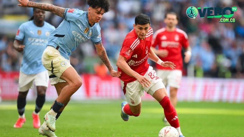 Nottingham Forest vs Brentford