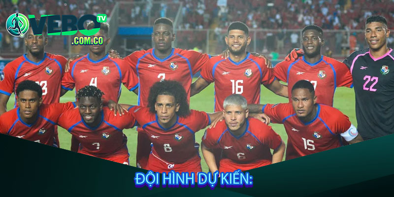 Đội hình dự kiến: