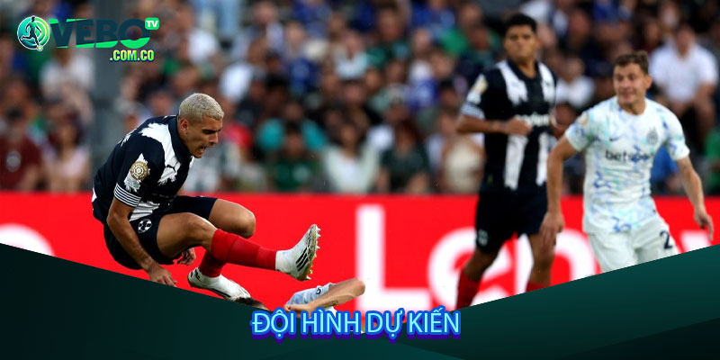 Đội hình dự kiến