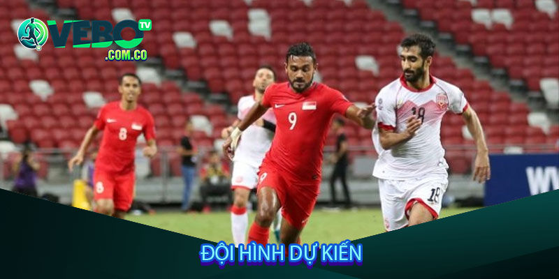 Đội hình dự kiến