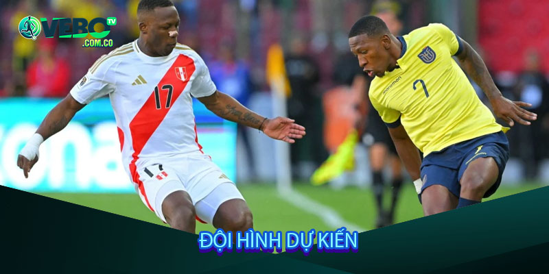 Đội hình dự kiến