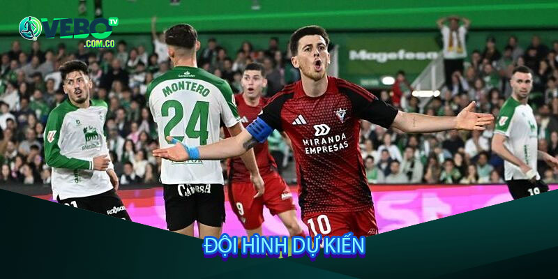 Đội hình dự kiến