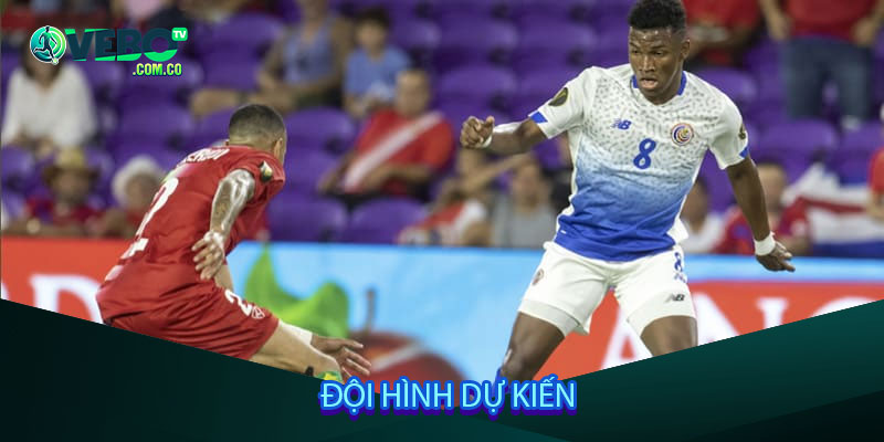 Đội hình dự kiến