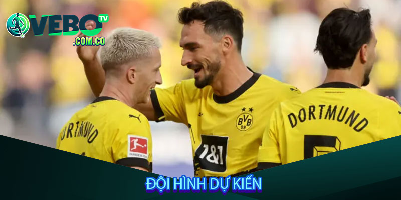 Đội hình dự kiến