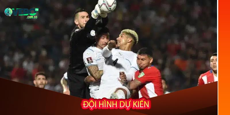 Đội hình dự kiến