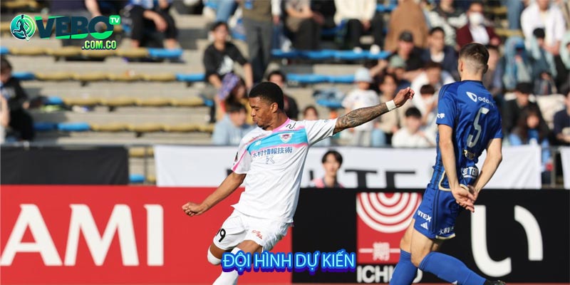 Đội hình dự kiến