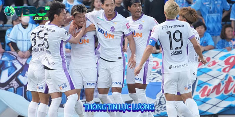 Thông tin lực lượng